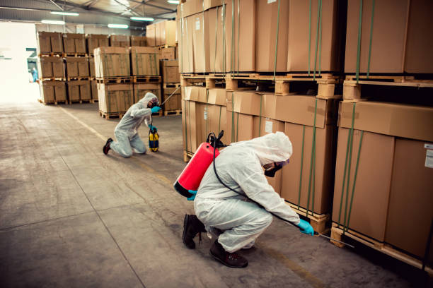 Best Local Pest Control Services  in South Hutchinson, KS