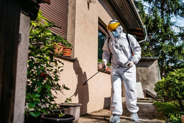  South Hutchinson, KS Pest Control Pros