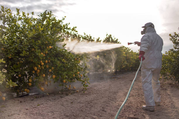 Best Pest Removal Services  in South Hutchinson, KS