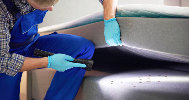Best Pest Control Near Me  in South Hutchinson, KS
