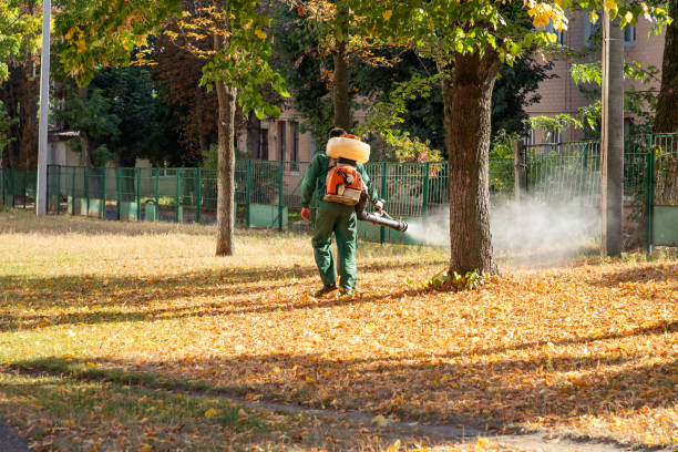 Best Residential Pest Control  in South Hutchinson, KS