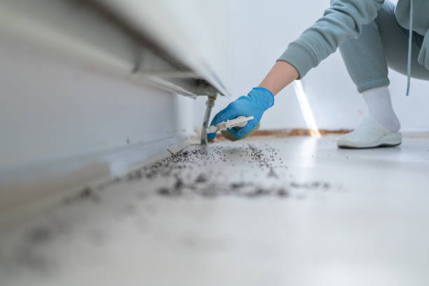 Best Wildlife Control Services  in South Hutchinson, KS